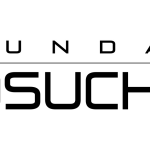 Usunięcie Fundacji Osuchowa z OPP 2025